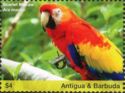 Scarlet Macaw (Ara macao)